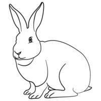 Illustrated rabbit outline. Rabbit line art. Drawing of rabbit outline illustration for coloring page. vector