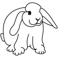 Illustrated rabbit outline. Rabbit line art. Drawing of rabbit outline illustration for coloring page. vector