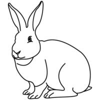 Illustrated rabbit outline. Rabbit line art. Drawing of rabbit outline illustration for coloring page. vector