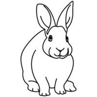 Illustrated rabbit outline. Rabbit line art. Drawing of rabbit outline illustration for coloring page. vector