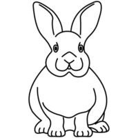 Illustrated rabbit outline. Rabbit line art. Drawing of rabbit outline illustration for coloring page. vector