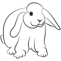 Illustrated rabbit outline. Rabbit line art. Drawing of rabbit outline illustration for coloring page. vector