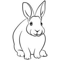 Illustrated rabbit outline. Rabbit line art. Drawing of rabbit outline illustration for coloring page. vector