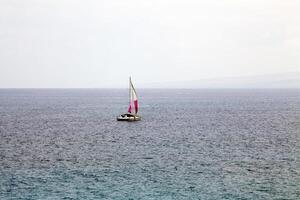 Kona, HI, 2011 - Lone catamaran sailboat on mild sea sailing away photo