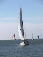 Berkeley, CA, 2010 - Several Sailboats on the bay under sail photo