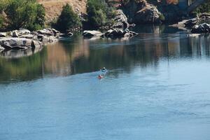 Folsom, CA, 2010 - Two Kayaks On River Moving Away From Camera photo