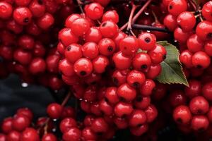 AI generated Red berries branch viburnum fall. Generate Ai photo