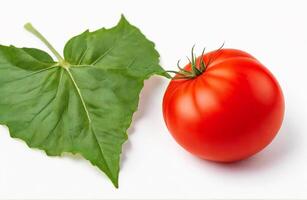 AI generated Fresh tomato leaf, cut out on white background photo