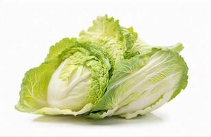 AI generated Chinese cabbage on white background photo