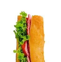 Italian sandwich with salami and lettuce photo
