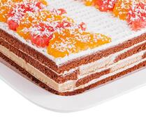 layered chocolate cake with oranges and grapefruits photo