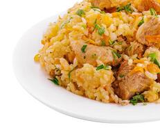 fried rice with crispy belly pork photo