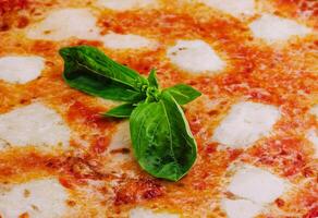 napolitano Pizza en un crema salsa foto