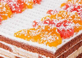 layered chocolate cake with oranges and grapefruits photo