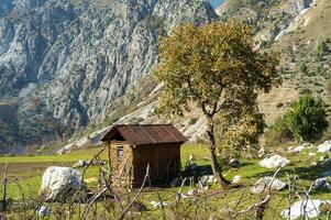 un del pastor Roca choza con un oxidado estaño techo soportes por un solitario árbol, en medio de un montañoso paisaje. adjunto pastar, dispersado rocas, y sereno alpino ambiente definir esta rústico tierras altas morada. foto