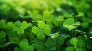 AI generated Lucky clover leaves for St. Patrick's Day. Banner with Irish clover leaves photo