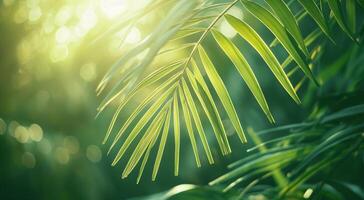 AI generated Lush green palm leaves basking in soft sunlight, depicting a tranquil natural setting photo