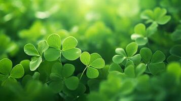 AI generated Lucky clover leaves for St. Patrick's Day. Banner with Irish clover leaves photo