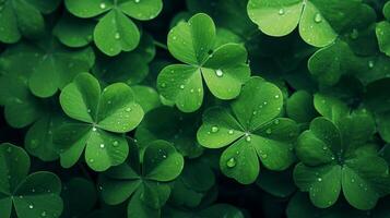 AI generated Lucky clover leaves for St. Patrick's Day. Banner with Irish clover leaves photo