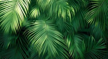 AI generated Lush green palm leaves basking in soft sunlight, depicting a tranquil natural setting photo