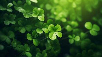 AI generated Lucky clover leaves for St. Patrick's Day. Banner with Irish clover leaves photo