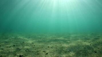 under vattnet bakgrund med strålar av ljus - slinga video