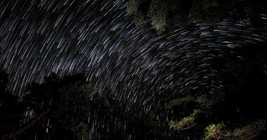 Time lapse of comet-shaped star trails over the forest in the night sky. Stars move around a polar star. 4K video