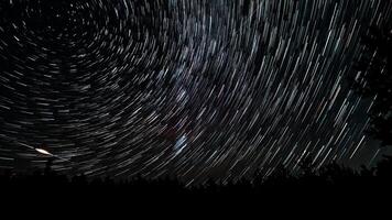 Time lapse of comet-shaped star trails over the forest in the night sky. Stars move around a polar star. 4K video