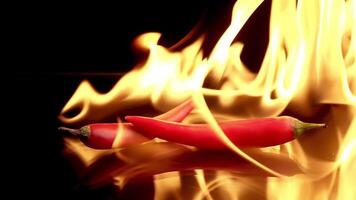 caliente rojo chile pimientos en llamas en un negro antecedentes. picante comida concepto. lento movimiento 120 fps video
