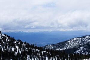 Snow Covered Mountains With Trees And Clouds photo