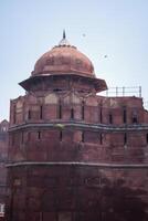 arquitectónico detalles de lal qila - rojo fuerte situado en antiguo Delhi, India, ver dentro Delhi rojo fuerte el famoso indio puntos de referencia foto