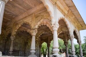 arquitectónico detalles de lal qila - rojo fuerte situado en antiguo Delhi, India, ver dentro Delhi rojo fuerte el famoso indio puntos de referencia foto