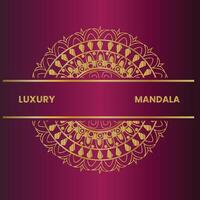 luxury mandala design vector