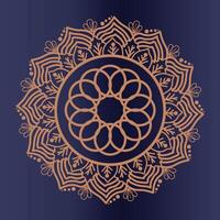 luxury mandala design vector