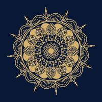 luxury mandala design vector