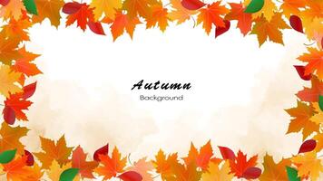 Maple leaves and autumn leaves on a soft watercolor background. Used for decoration, advertising design, websites or publications, banners, posters and brochures. vector