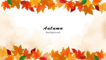 Maple leaves and autumn leaves on a soft watercolor background. Used for decoration, advertising design, websites or publications, banners, posters and brochures. vector