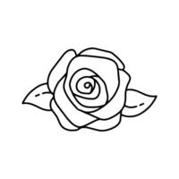 rose vector clip art