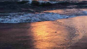 Panorama- Strand Landschaft. inspirieren tropisch Strand Seelandschaft Horizont video