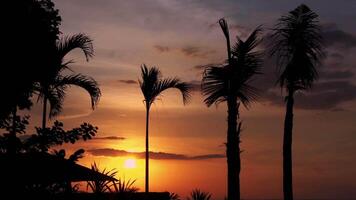 panoramique plage paysage. inspirer tropical plage paysage marin horizon video