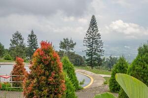 paisaje jardín y montaña bandungan semarang central Java. el foto es adecuado a utilizar para aventuras contenido medios de comunicación, naturaleza póster y bosque antecedentes.