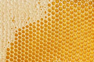 Honeycombs with sweet golden honey on whole background, close up. Background texture, pattern of section of wax honeycomb photo