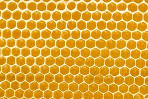 Honeycombs with sweet golden honey on whole background, close up. Background texture, pattern of section of wax honeycomb photo