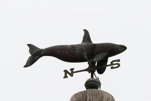 Whale Weather Vane Against Overcast Sky photo