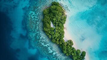 AI generated Top View of a Small Island Abundant with Trees photo