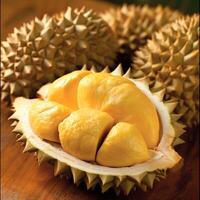 AI generated Mouthwatering Durian with Sumptuously Thick and Appetizing Flesh photo