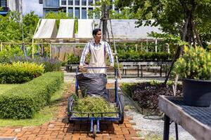 asiático jardinero es dando Servicio de tomando jardín residuos a el compost zona mientras trabajando en el común zona de condominio o público parque en el ciudad foto