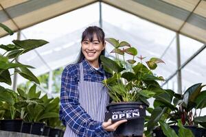 Asian gardener is working inside her greenhouse at nursery garden center holding open sign for her shop and exotic plant grower photo