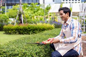 Asian gardener is giving service by trimming the bush hedge in summer while working in the common area of condominium or public park in the city photo