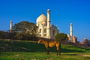 Taj Mahal, UNESCO world heritage site, in Agra, India at dusk photo